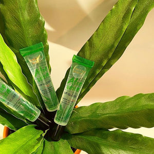 Aloe vera lip gloss