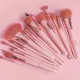 12PCS DIVINE BRUSH SET C LUX